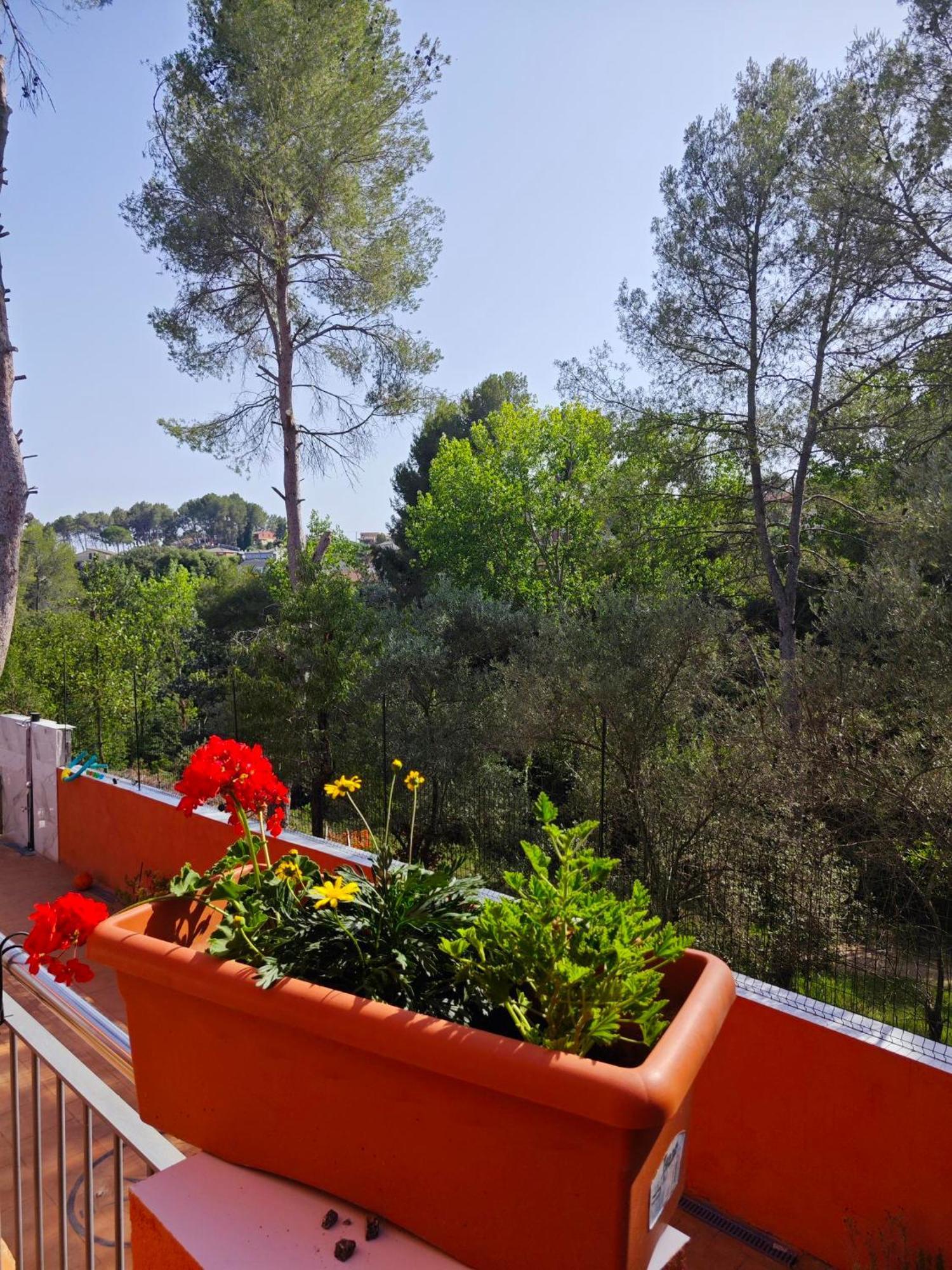Вилла Relax House Barcelone Сан-Эстеве-Сесровирес Экстерьер фото